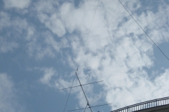 Waltham ARA - Clay Center ARC Field Day 2010