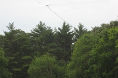 Whitman ARC Field Day 2010