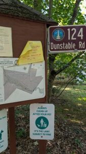 W1MWS fox in Chelmsford